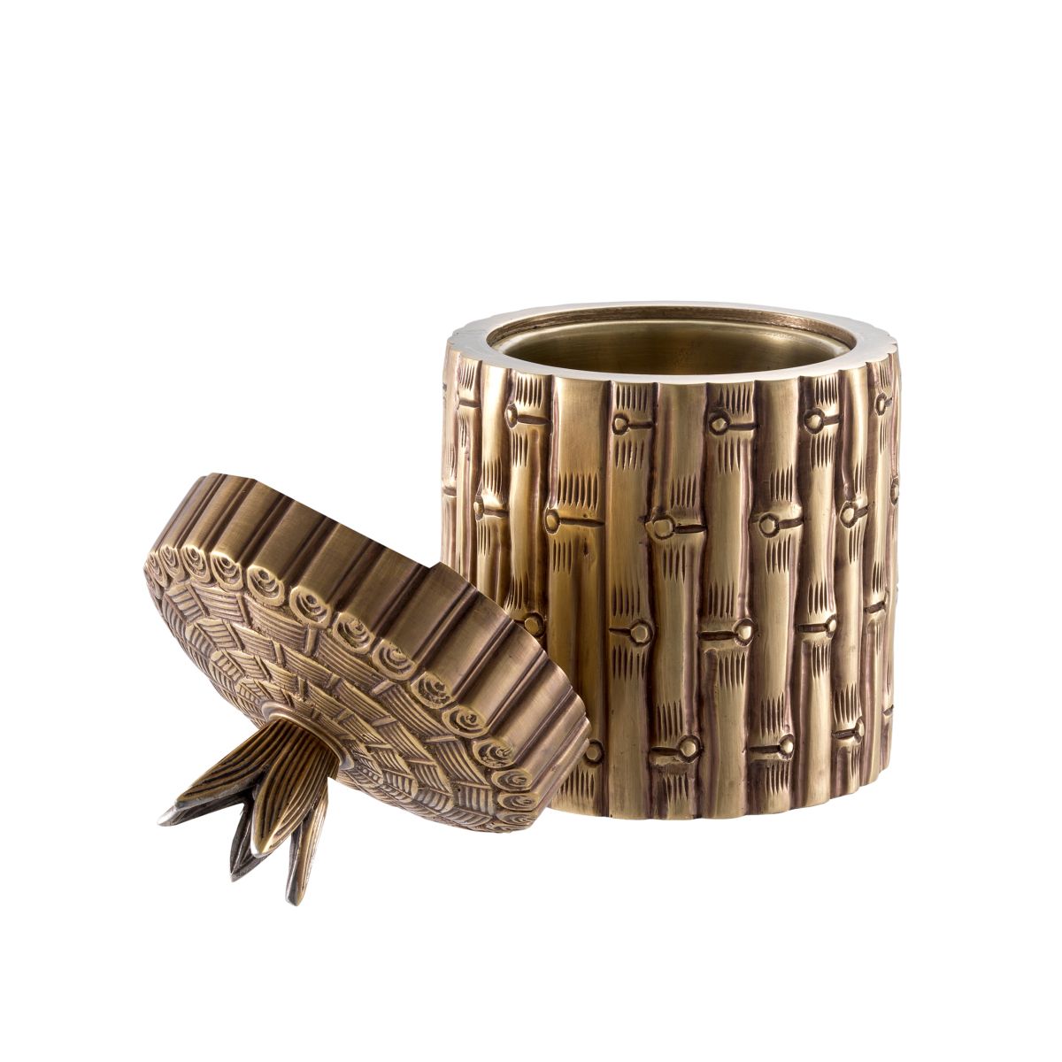Box Bamboo
