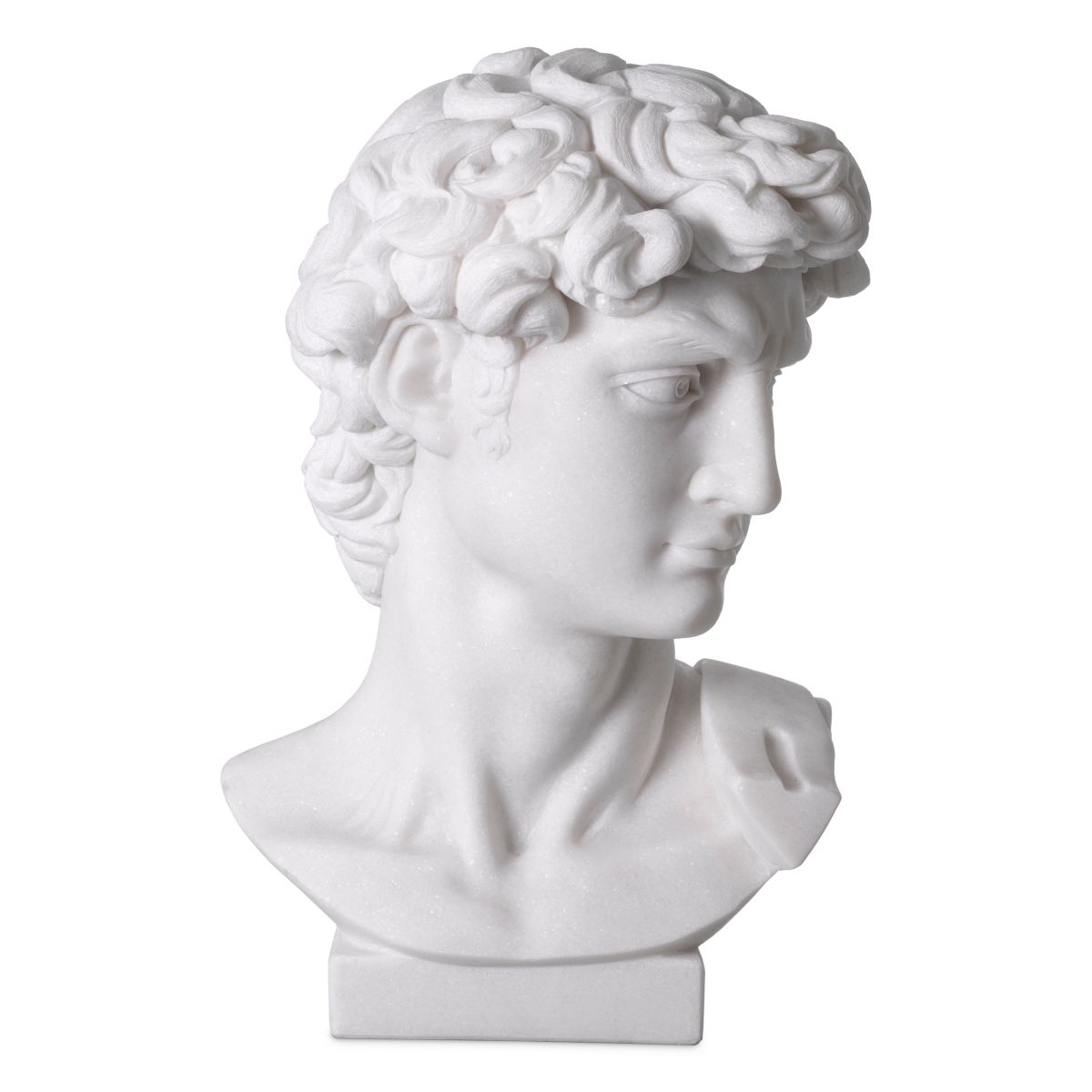 Head David