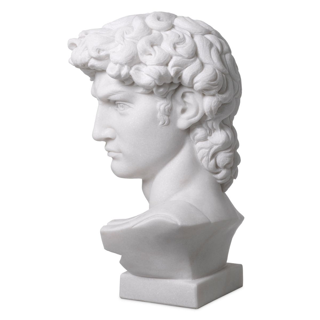 Head David