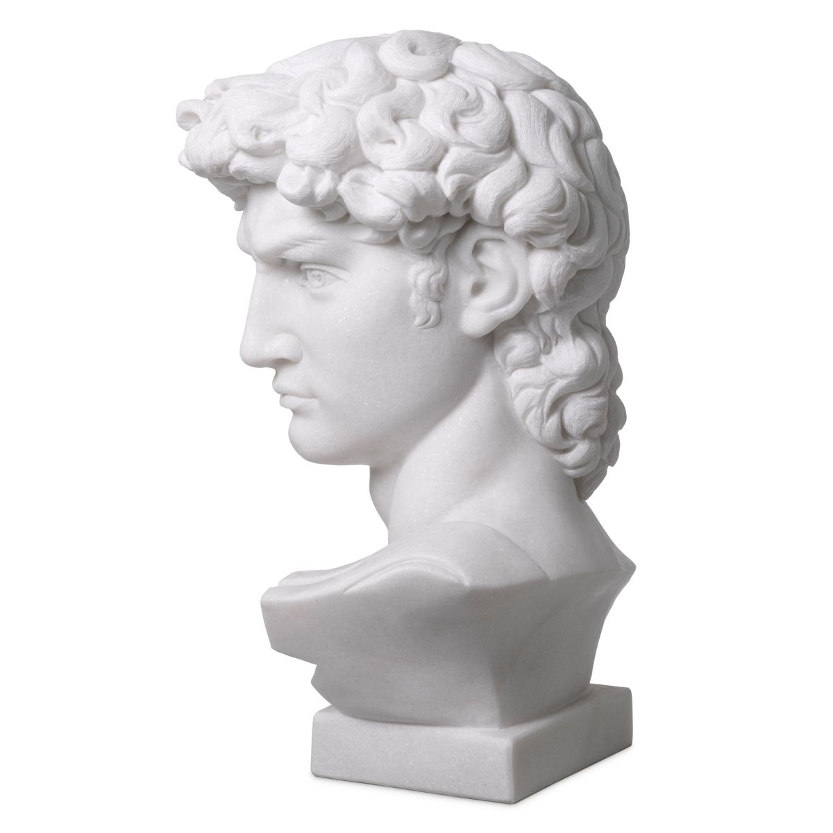 Head David