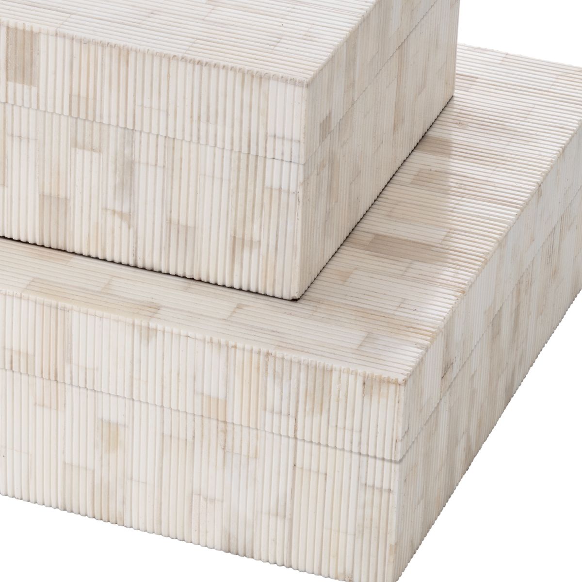 Box Scoop S