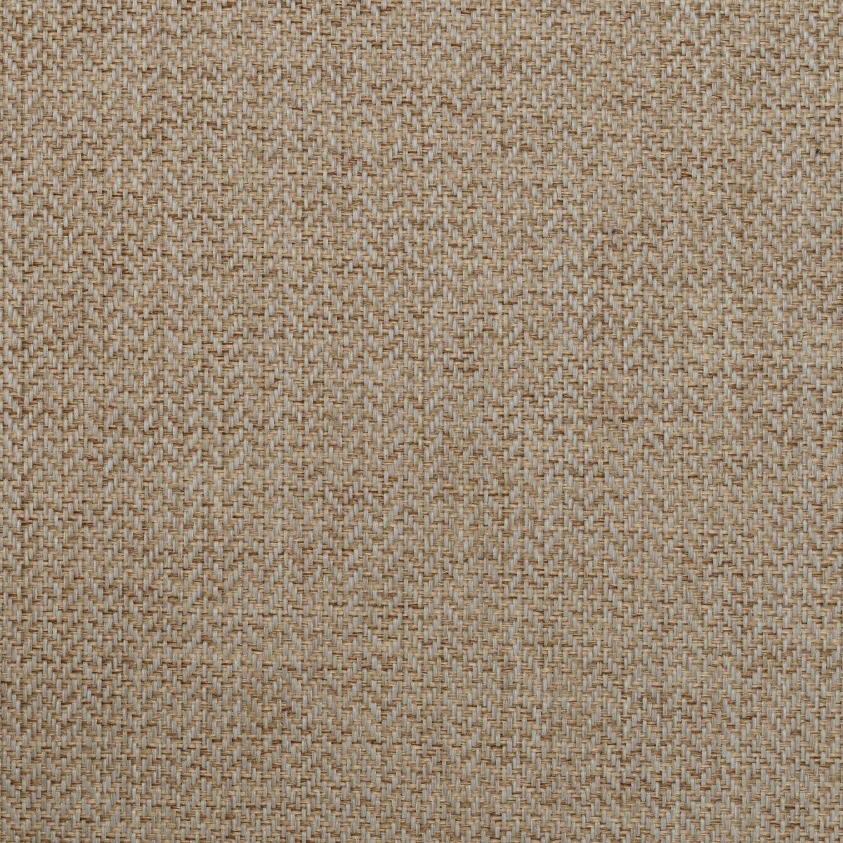 Dining Chair Alvaro