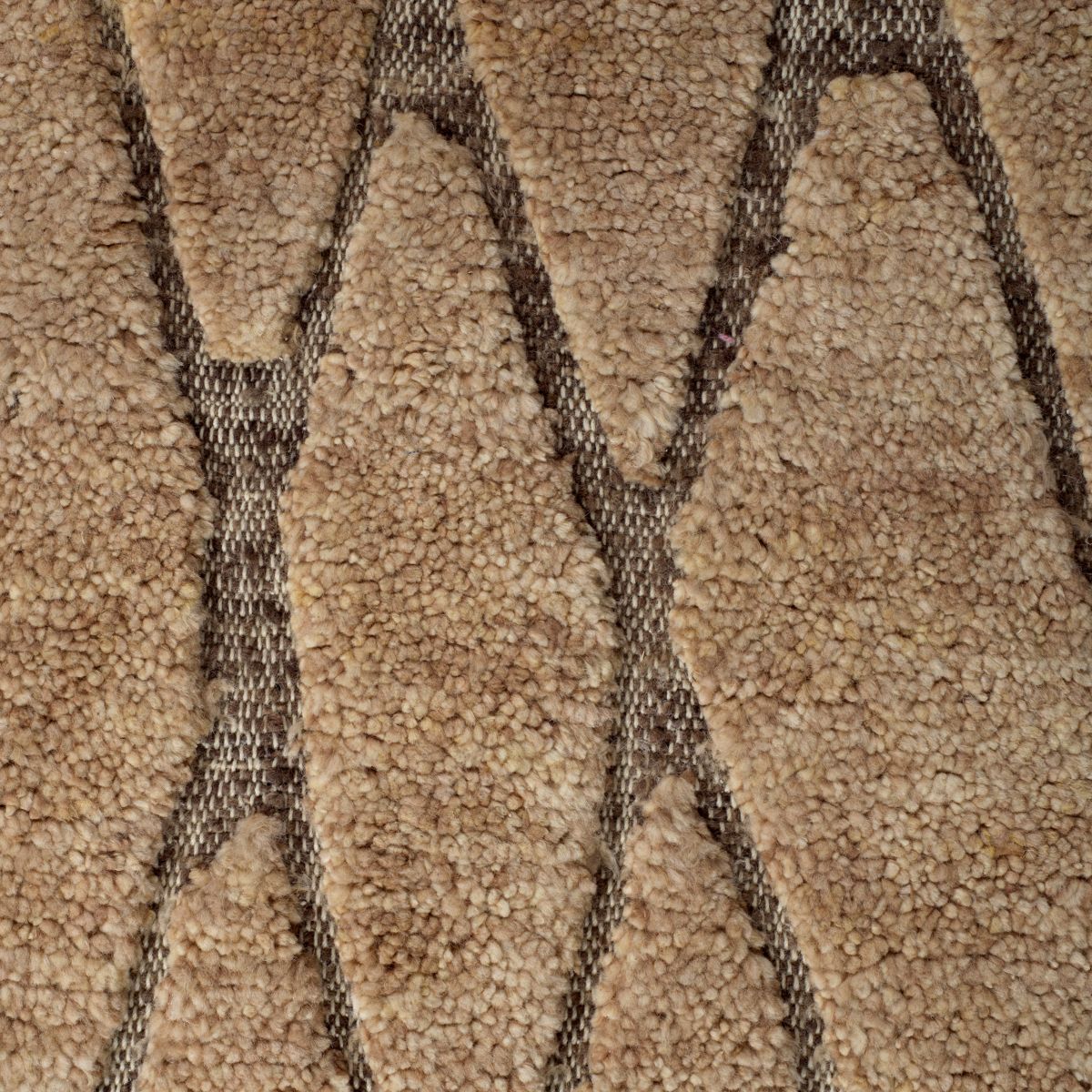 Rug Coralie 300 x 400 cm