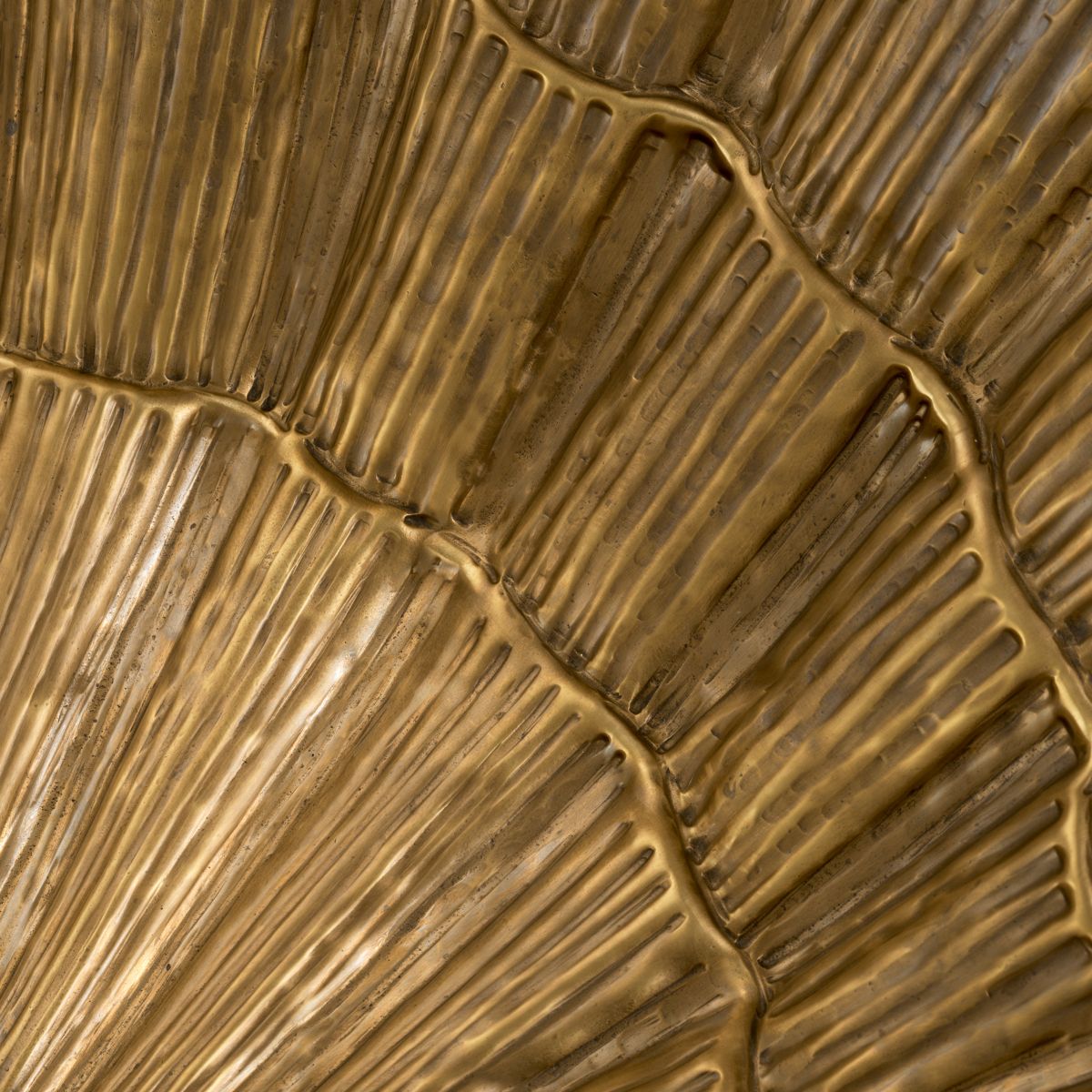 Bowl Seashell