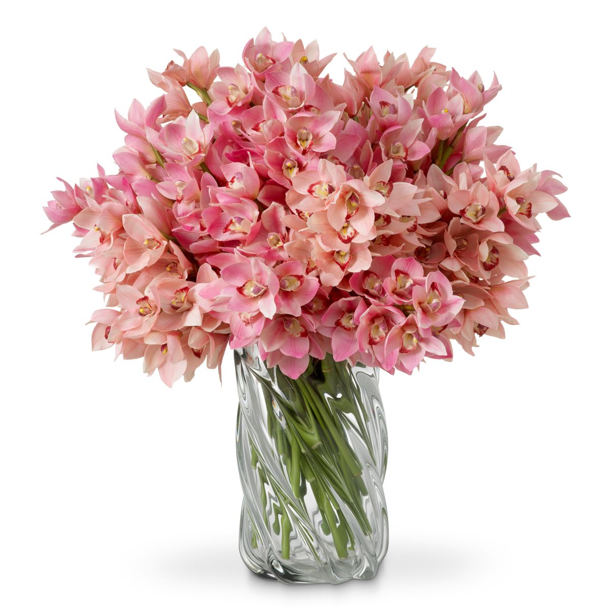 Bouquet of Cymbidium Orchids real touch 36 pcs