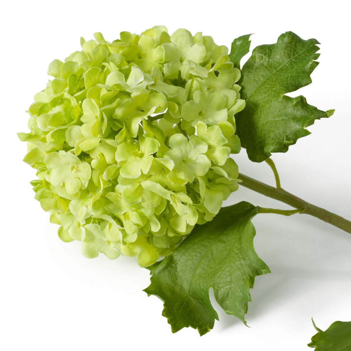 Bouquet of Hydrangeas snowball real touch 36 pcs
