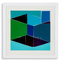 Print Silkscreen from Boissière I by Henri Boissiè