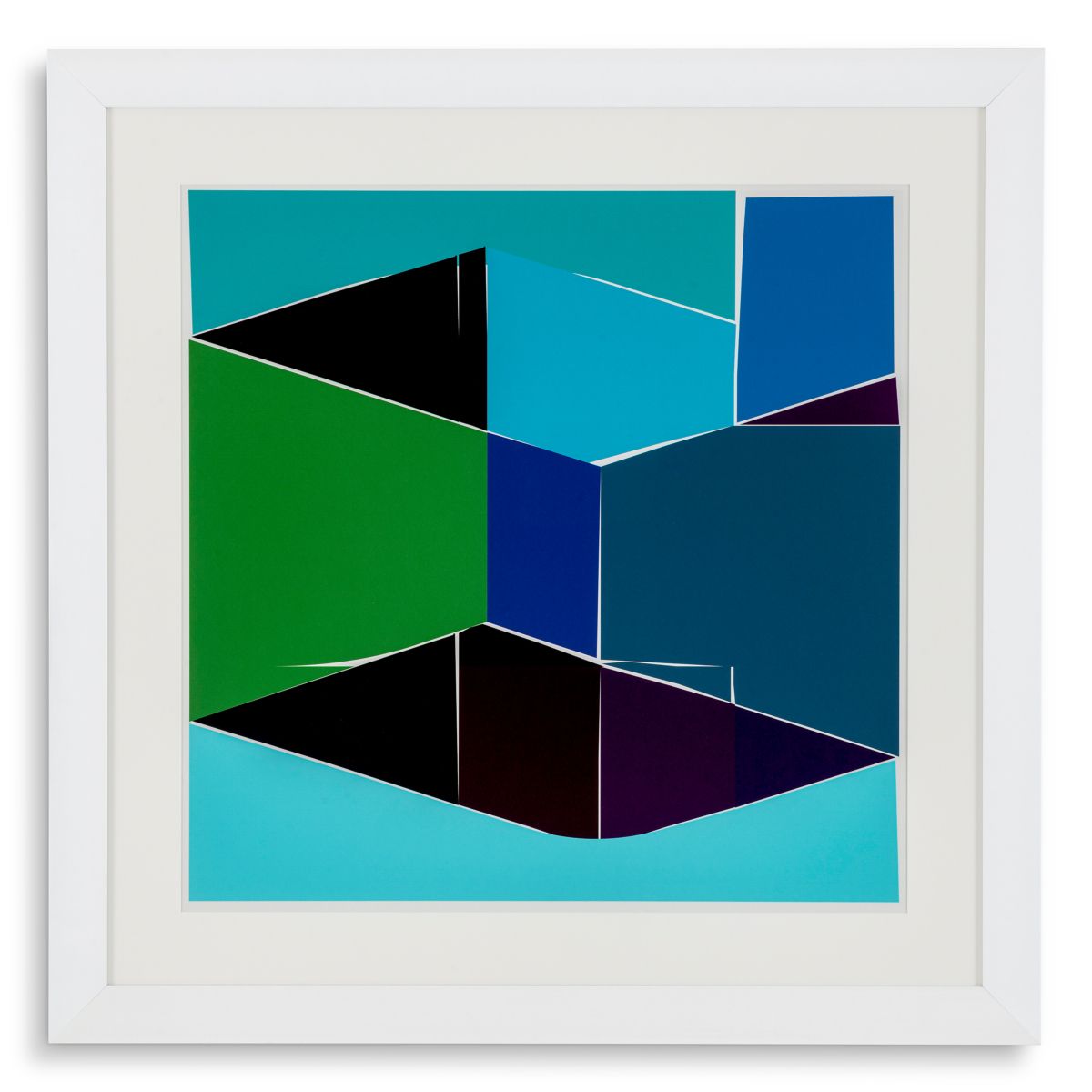 Print Silkscreen from Boissière I by Henri Boissiè